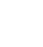 APOPHENIA